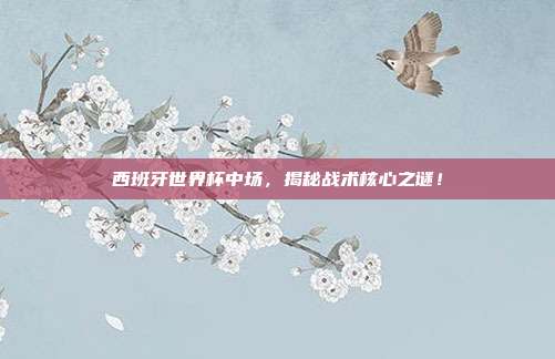 西班牙世界杯中场,揭秘战术核心之谜!
