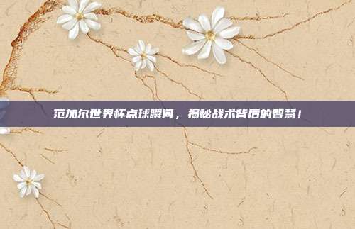 范加尔世界杯点球瞬间,揭秘战术背后的智慧!