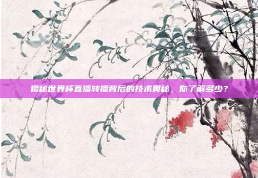 揭秘世界杯直播转播背后的技术奥秘,你了解多少?