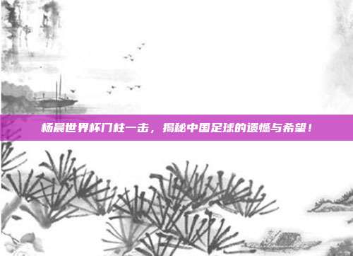 杨晨世界杯门柱一击，揭秘中国足球的遗憾与希望！