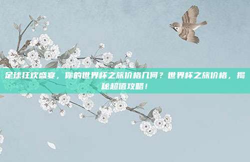 足球狂欢盛宴，你的世界杯之旅价格几何？世界杯之旅价格，揭秘超值攻略！