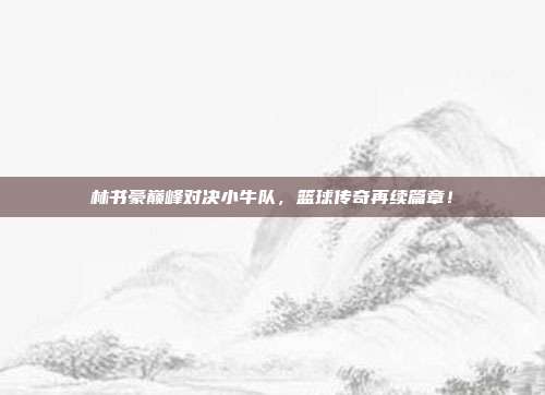 林书豪巅峰对决小牛队,篮球传奇再续篇章!