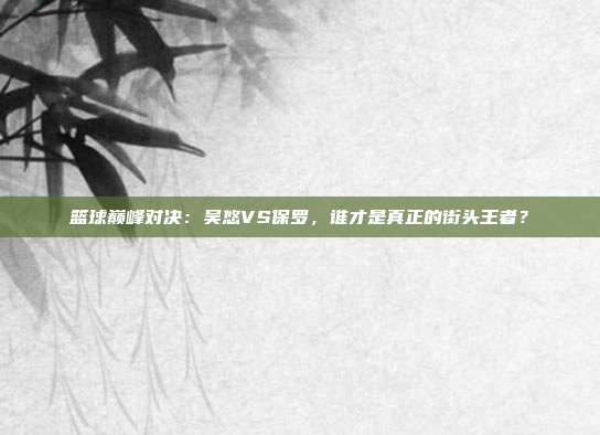 篮球巅峰对决：吴悠VS保罗，谁才是真正的街头王者？