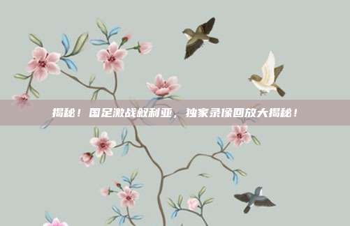 揭秘！国足激战叙利亚，独家录像回放大揭秘！