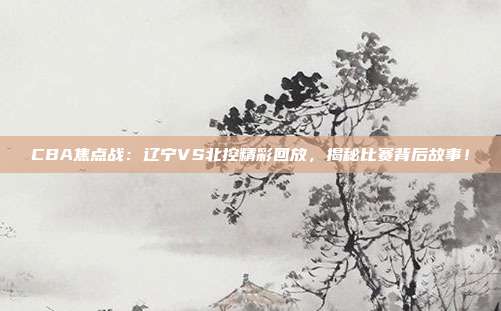 CBA焦点战：辽宁VS北控精彩回放，揭秘比赛背后故事！