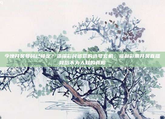 今晚开奖号码已锁定？资深彩民透露的选号玄机，福利彩票开奖直播背后不为人知的真相