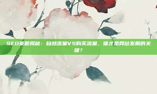 SEO策略揭秘:自然流量VS购买流量,谁才是网站发展的关键?