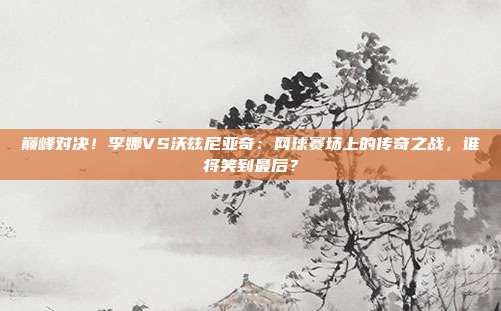 巅峰对决！李娜VS沃兹尼亚奇：网球赛场上的传奇之战，谁将笑到最后？