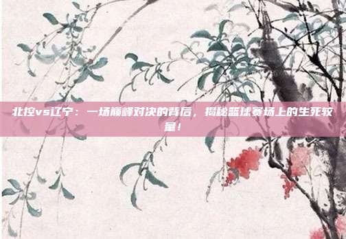 北控vs辽宁：一场巅峰对决的背后，揭秘篮球赛场上的生死较量！
