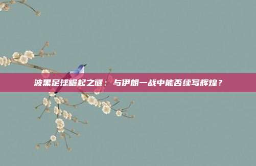 波黑足球崛起之谜：与伊朗一战中能否续写辉煌？