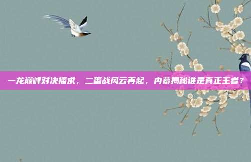 一龙巅峰对决播求，二番战风云再起，内幕揭秘谁是真正王者？