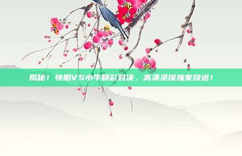 揭秘！快船VS小牛精彩对决，高清录像独家放送！