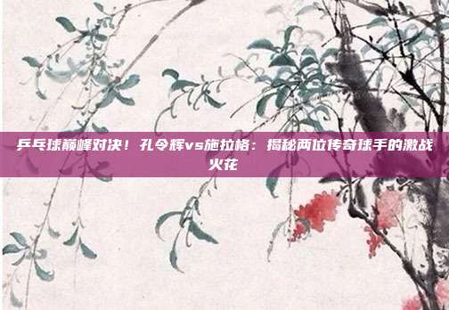 乒乓球巅峰对决!孔令辉vs施拉格:揭秘两位传奇球手的激战火花