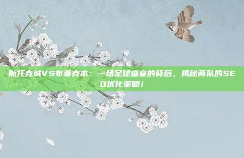 斯托克城VS布莱克本:一场足球盛宴的背后,揭秘两队的SEO优化策略!