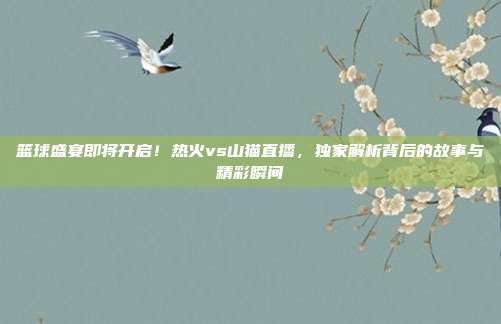 篮球盛宴即将开启！热火vs山猫直播，独家解析背后的故事与精彩瞬间