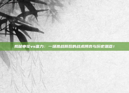 揭秘申花vs富力：一场激战背后的战术博弈与历史恩怨！