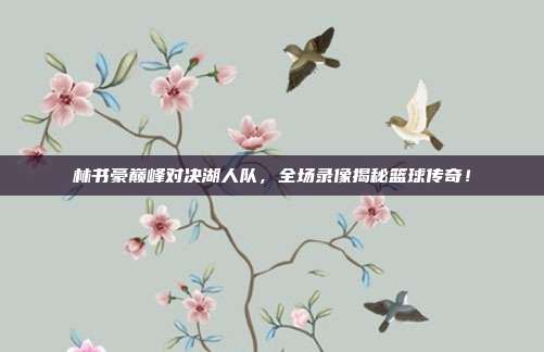 林书豪巅峰对决湖人队，全场录像揭秘篮球传奇！
