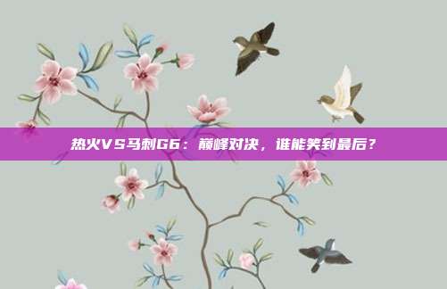 热火VS马刺G6：巅峰对决，谁能笑到最后？