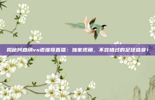 揭秘阿森纳vs诺维奇直播:独家视角,不容错过的足球盛宴!