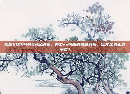 揭秘2014年NBA总决赛：勇士vs快船的巅峰对决，谁才是真正的王者？
