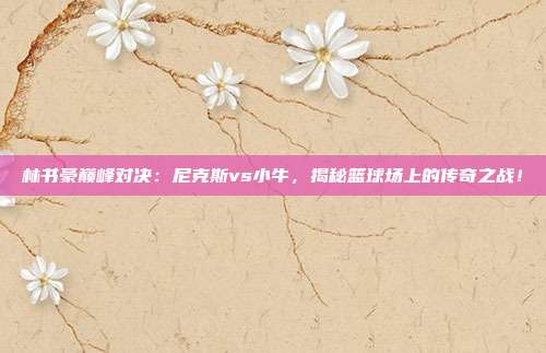 林书豪巅峰对决：尼克斯vs小牛，揭秘篮球场上的传奇之战！