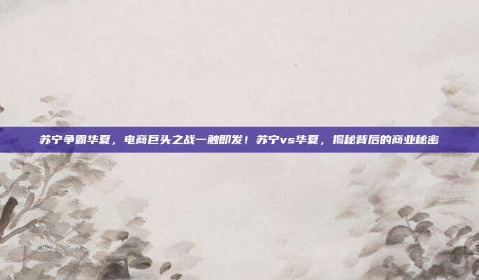 苏宁争霸华夏，电商巨头之战一触即发！苏宁vs华夏，揭秘背后的商业秘密