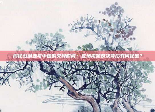 揭秘叙利亚与中国的交锋瞬间：这场视频对决背后有何秘密？
