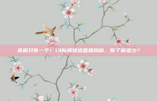 真相只有一个！13新闻频道直播揭秘，你了解多少？