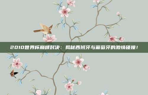 2010世界杯巅峰对决:揭秘西班牙与葡萄牙的激情碰撞!