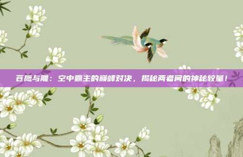 苍鹰与雕:空中霸主的巅峰对决,揭秘两者间的神秘较量!