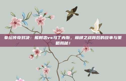 拳坛传奇对决：熊朝忠vs马丁内斯，巅峰之战背后的故事与策略揭秘！