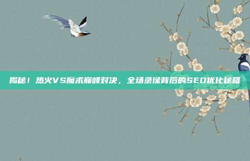 揭秘!热火VS魔术巅峰对决,全场录像背后的SEO优化秘籍
