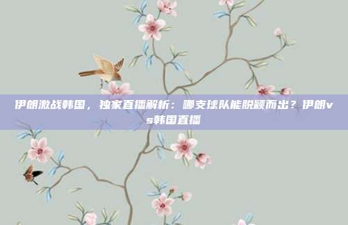 伊朗激战韩国,独家直播解析:哪支球队能脱颖而出?伊朗vs韩国直播