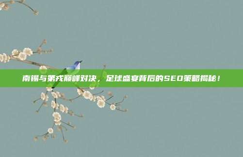 南锡与第戎巅峰对决，足球盛宴背后的SEO策略揭秘！