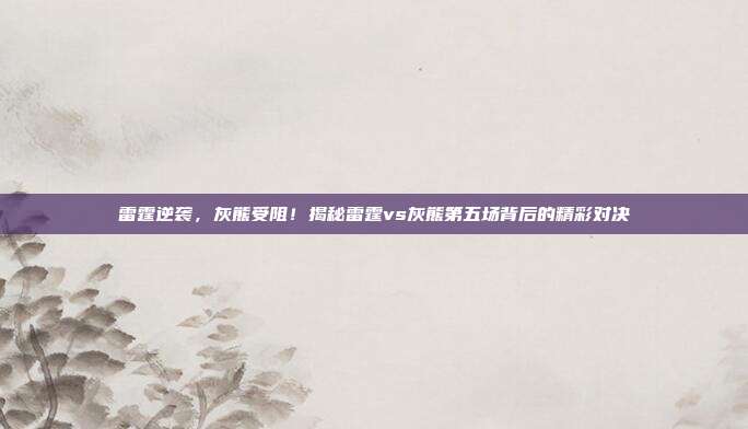 雷霆逆袭，灰熊受阻！揭秘雷霆vs灰熊第五场背后的精彩对决