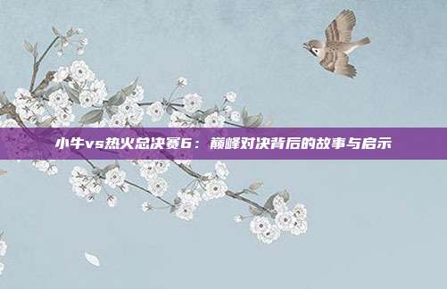 小牛vs热火总决赛6：巅峰对决背后的故事与启示