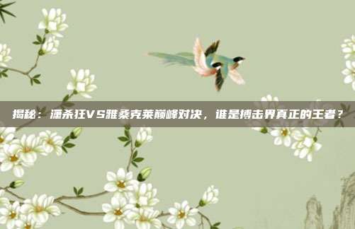 揭秘:潇杀狂VS雅桑克莱巅峰对决,谁是搏击界真正的王者?