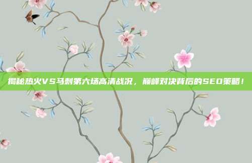 揭秘热火VS马刺第六场高清战况，巅峰对决背后的SEO策略！