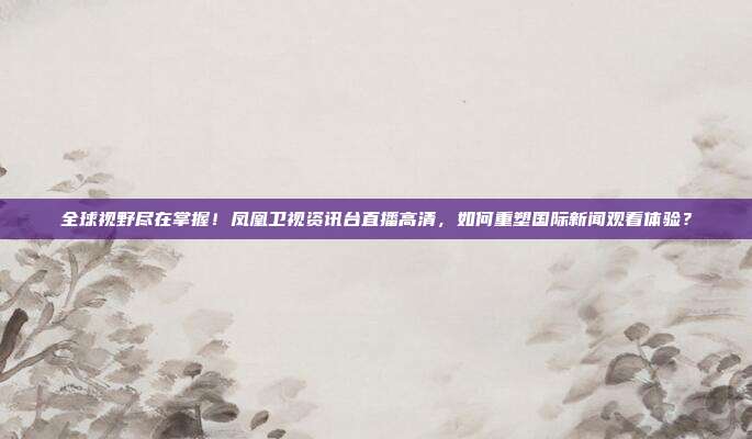 全球视野尽在掌握！凤凰卫视资讯台直播高清，如何重塑国际新闻观看体验？
