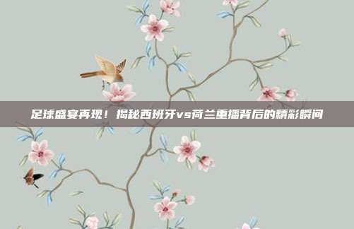 足球盛宴再现!揭秘西班牙vs荷兰重播背后的精彩瞬间