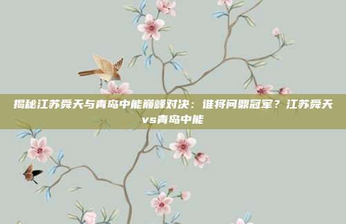 揭秘江苏舜天与青岛中能巅峰对决：谁将问鼎冠军？江苏舜天vs青岛中能