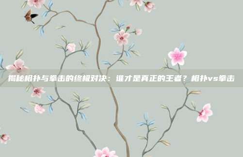 揭秘相扑与拳击的终极对决：谁才是真正的王者？相扑vs拳击