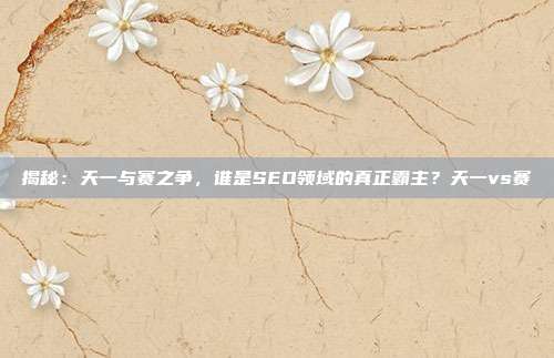 揭秘：天一与赛之争，谁是SEO领域的真正霸主？天一vs赛
