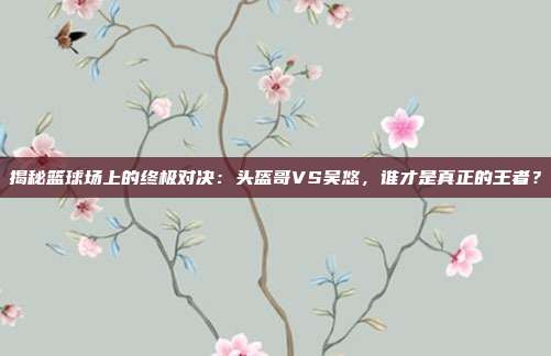 揭秘篮球场上的终极对决：头盔哥VS吴悠，谁才是真正的王者？