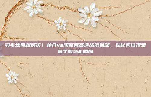 羽毛球巅峰对决！林丹vs陶菲克高清战况回顾，揭秘两位传奇选手的精彩瞬间