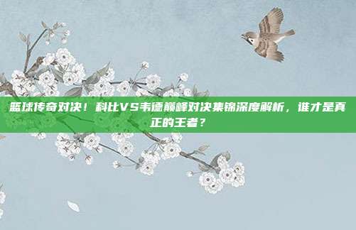 篮球传奇对决！科比VS韦德巅峰对决集锦深度解析，谁才是真正的王者？