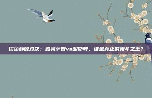 揭秘巅峰对决：鲍勃萨普vs胡斯特，谁是真正的格斗之王？