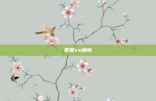 泰国vs缅甸