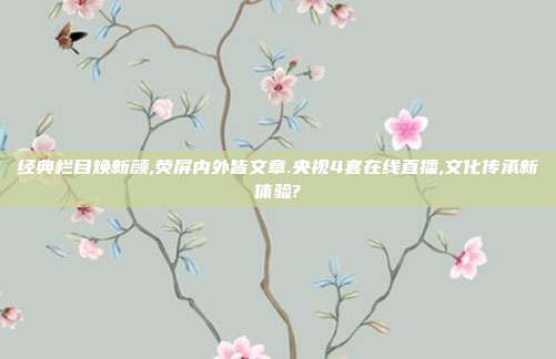经典栏目焕新颜,荧屏内外皆文章.央视4套在线直播,文化传承新体验?