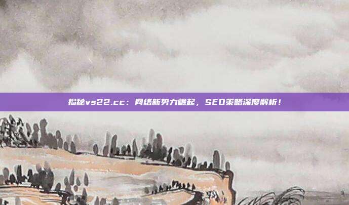 揭秘vs22.cc:网络新势力崛起,SEO策略深度解析!